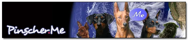 Pinscher.Me El Pinscher Social.