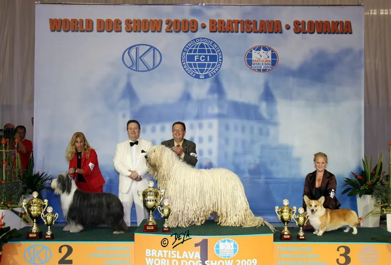 Results / Resultados de la World Dog Show 2009
