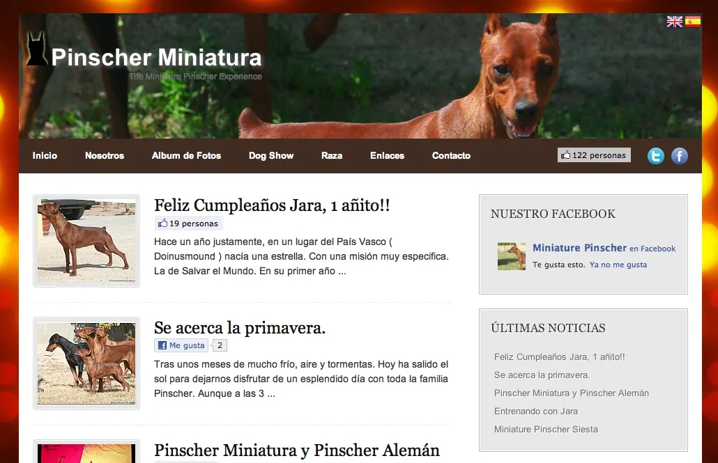 Mi nueva Web, Pinscher Miniatura.