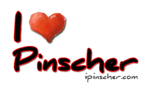 I Love Pinscher 2.0