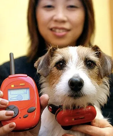 bowlingual traductor para perros