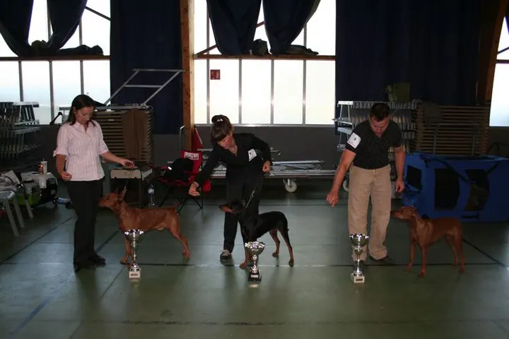 Monográfica del Pinscher 2010 Francia.