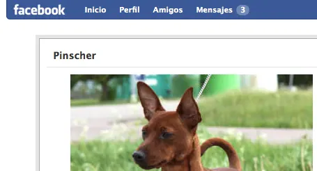 Cu cu!! Jeje