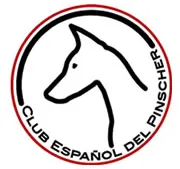 Pocatraza.com La web de trazos.