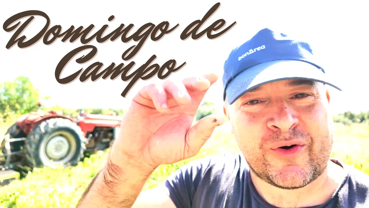 Preparando la Finca para la Temporada de Aceitunas: Domingo de Trabajo en el Campo