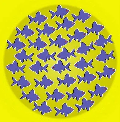 peces-no-mueven