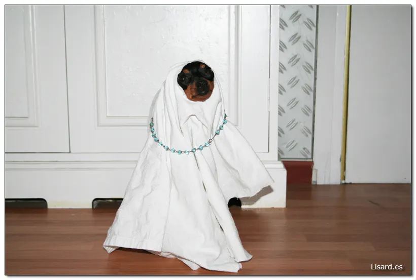 La Virgen Maria del Pinscher!