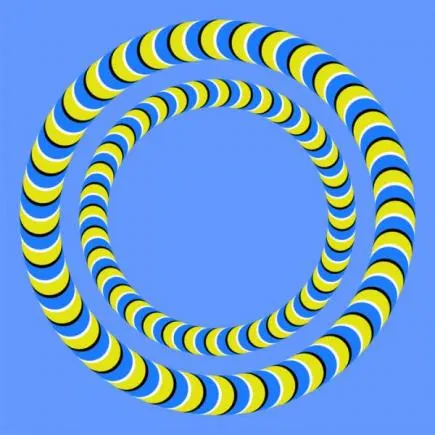 1254165259_09