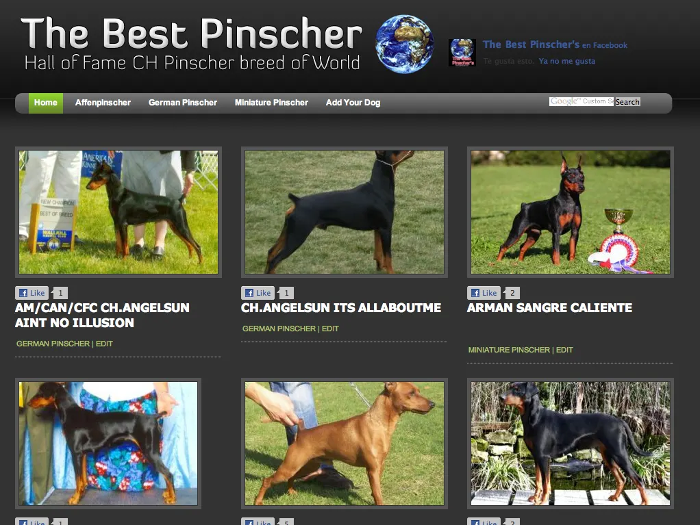 The Best Pinscher, 2ª parte ( 3 días después. )