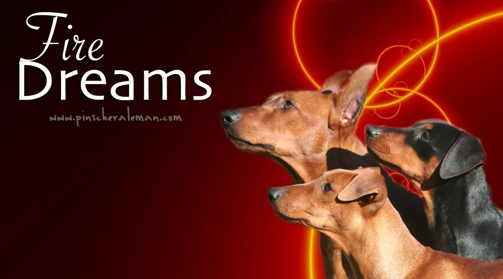 Nuevos Banners de Pinscher Fire Dreams.
