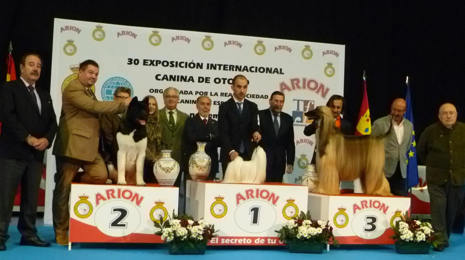 Resultados Generales Exposición Internacional Talavera de la Reina 2013