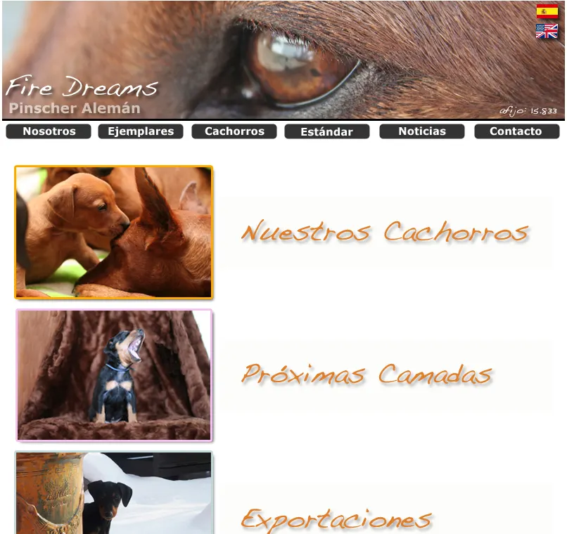Novedades en Pinscher-Miniatura.com y Fire dreams