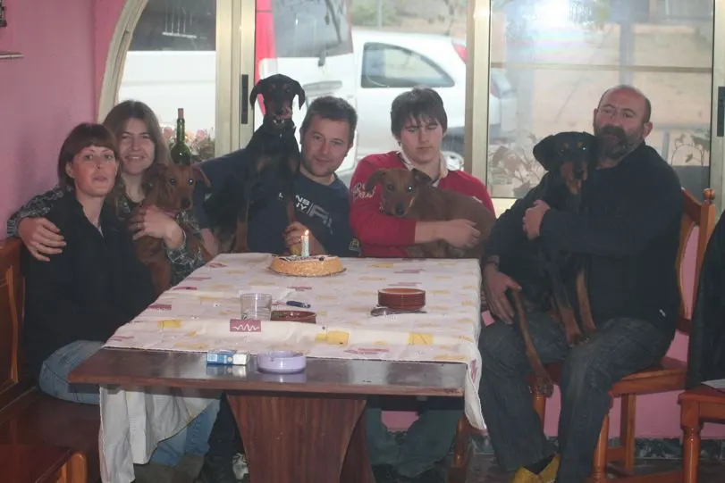 1 año de Pinscher Fire Dreams