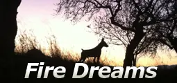La nueva web de Fire Dreams ya esta online ( Pinscher )