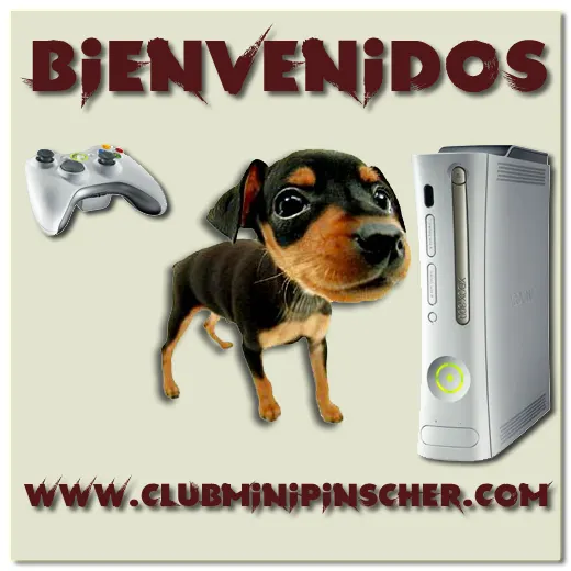 Club Mini pinscher Vuelve!!