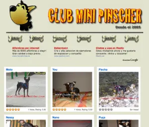 Novedades en el Club Mini Pinscher.