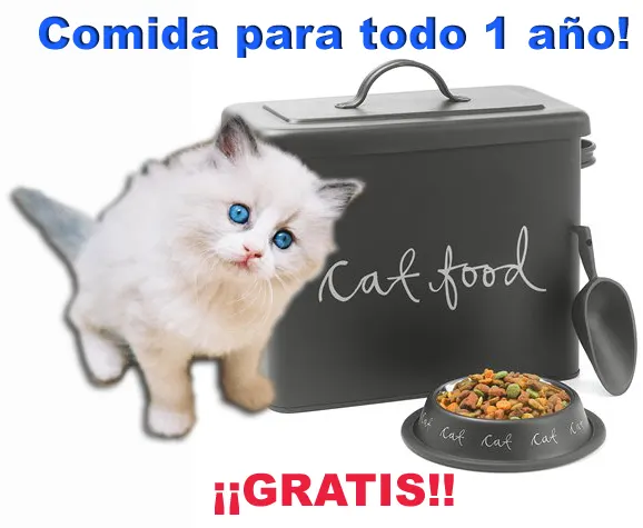 Kmiau la web de todos lo gatos! K MIAU!!!