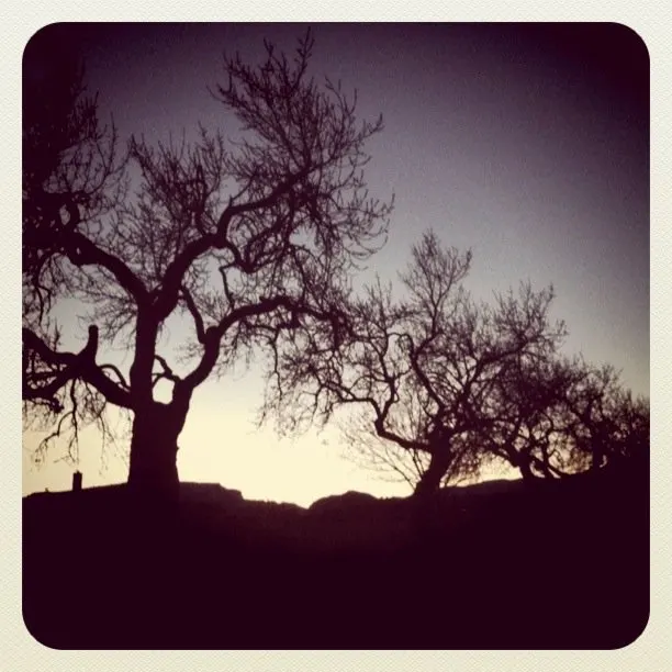 #RetoArbol . mi primera foto del grupo