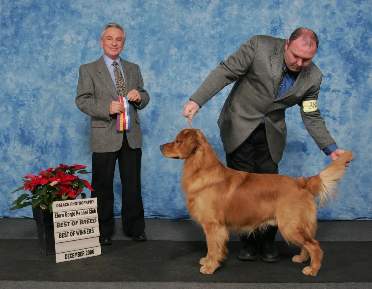 Exposición Canina Talavera de la Reina