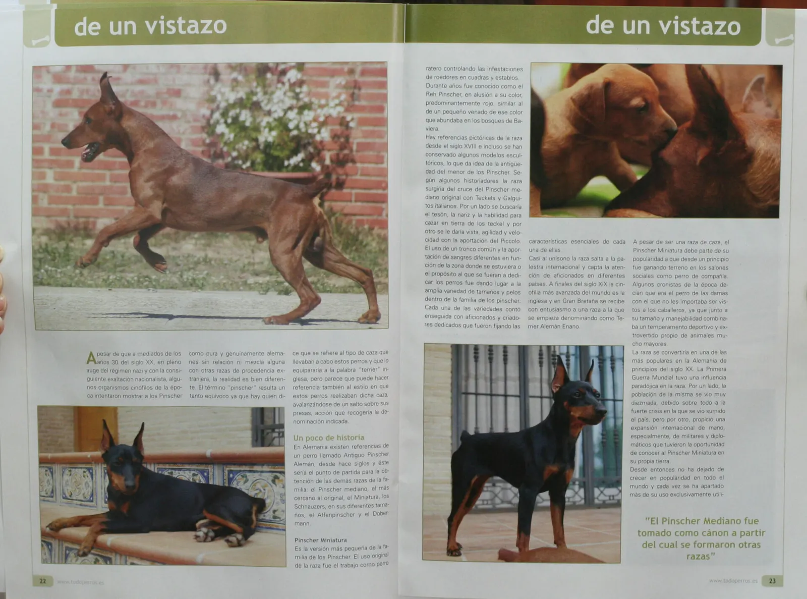 Pepitu en una revista de perros. Todo Perros